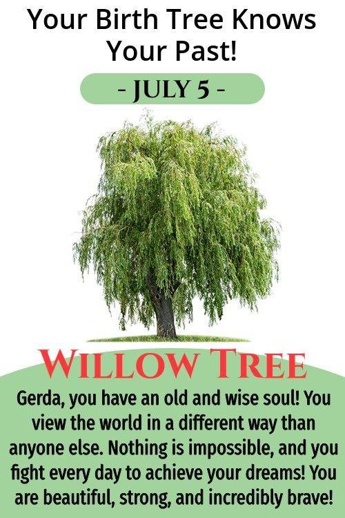 Gerda Campbell's album, Timeline photos