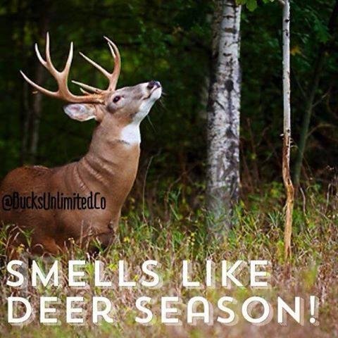Dave McCoy's album, Timeline Photos