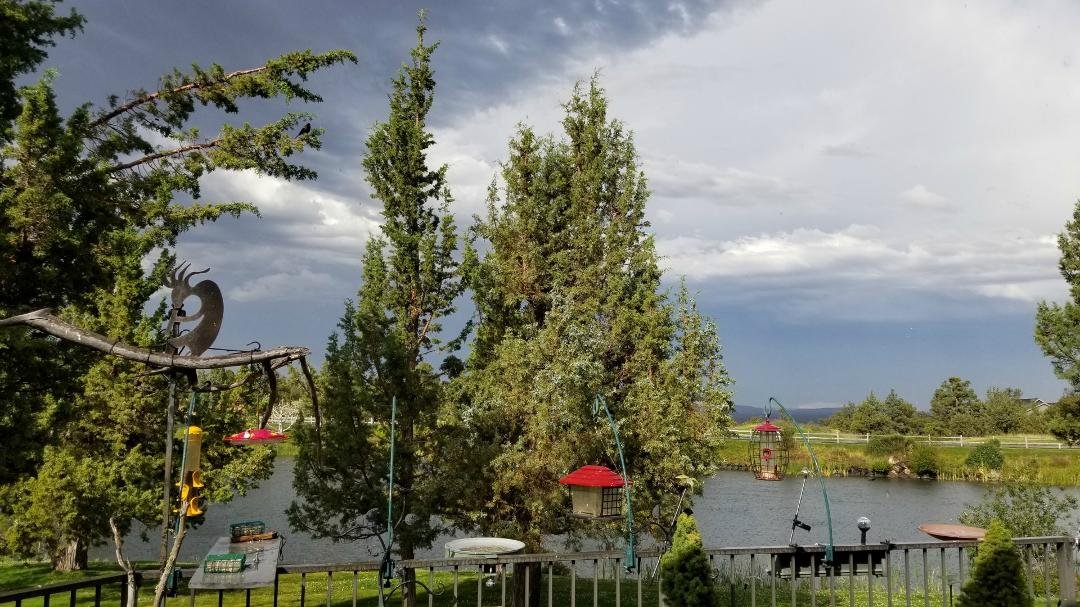 Just made it through our first cloudburst for this afternoon. Sun shined through the clouds the entire time. Grateful there was no hail. Day isn't over, though, and the thunder continues to roll. To top off the weather, for