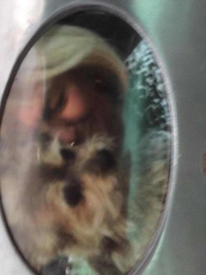 Today it has been 2months since my little precious passed away..I still miss her so much, my heart still hurts..she was almost 14 yrs old...I still think I hear her in the house and I know I feel her laying down on my bed..
