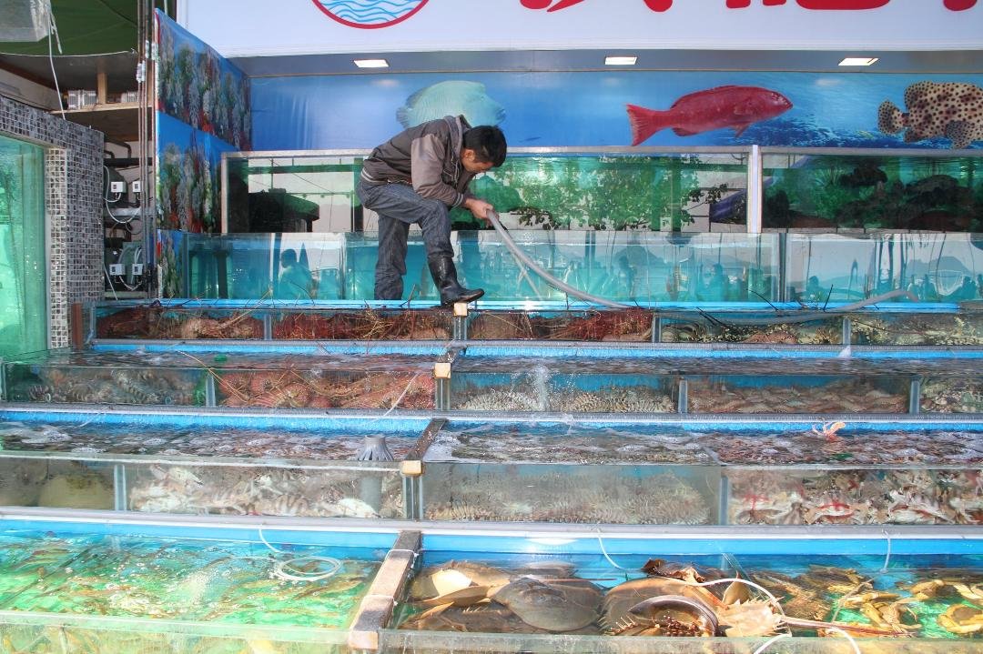 Fish Market 2