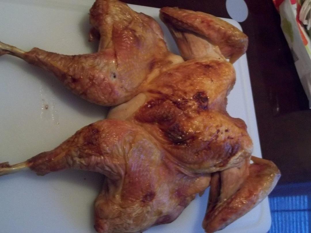 tonight's turkey was very good