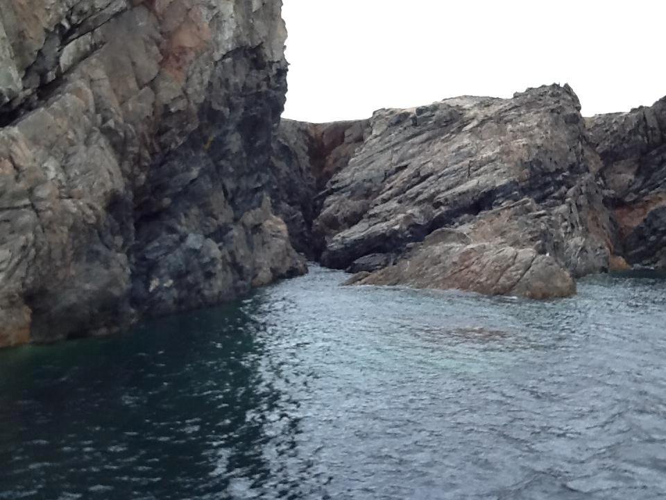 Newfoundland Twillingate