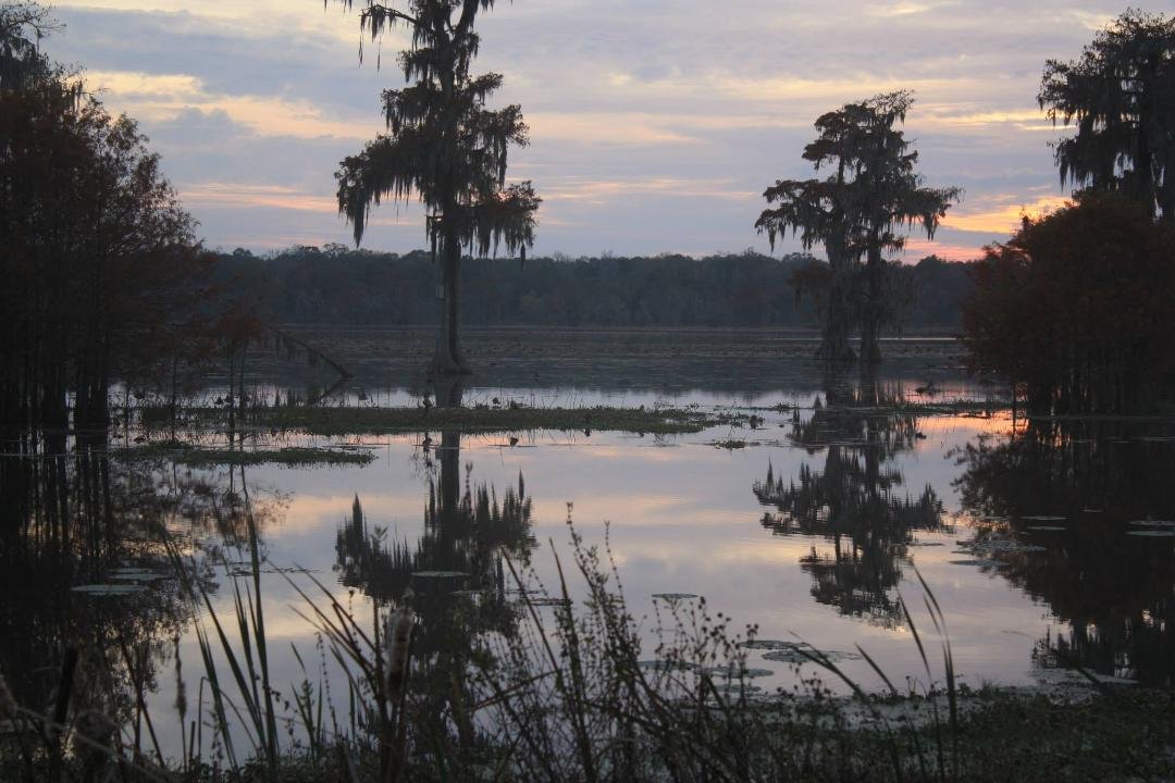 Don Swanson's album, Lafayette, LA