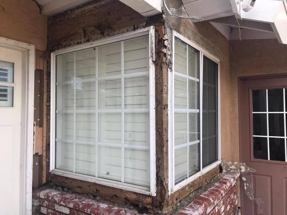 Day 3. Did not accomplish too much today. Had a lot of cleaning up to do. Continued removing the stucco.