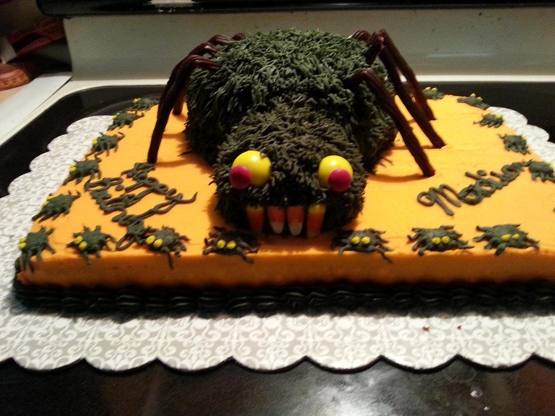 Madison's 14th birthday cake