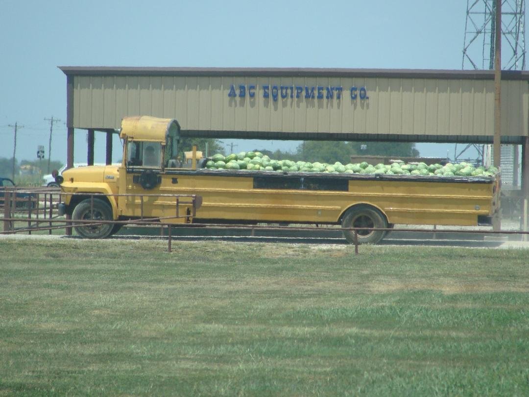 Aggie Limo?