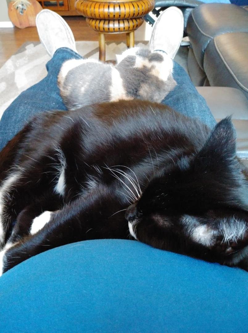 My turn today with the baby's.