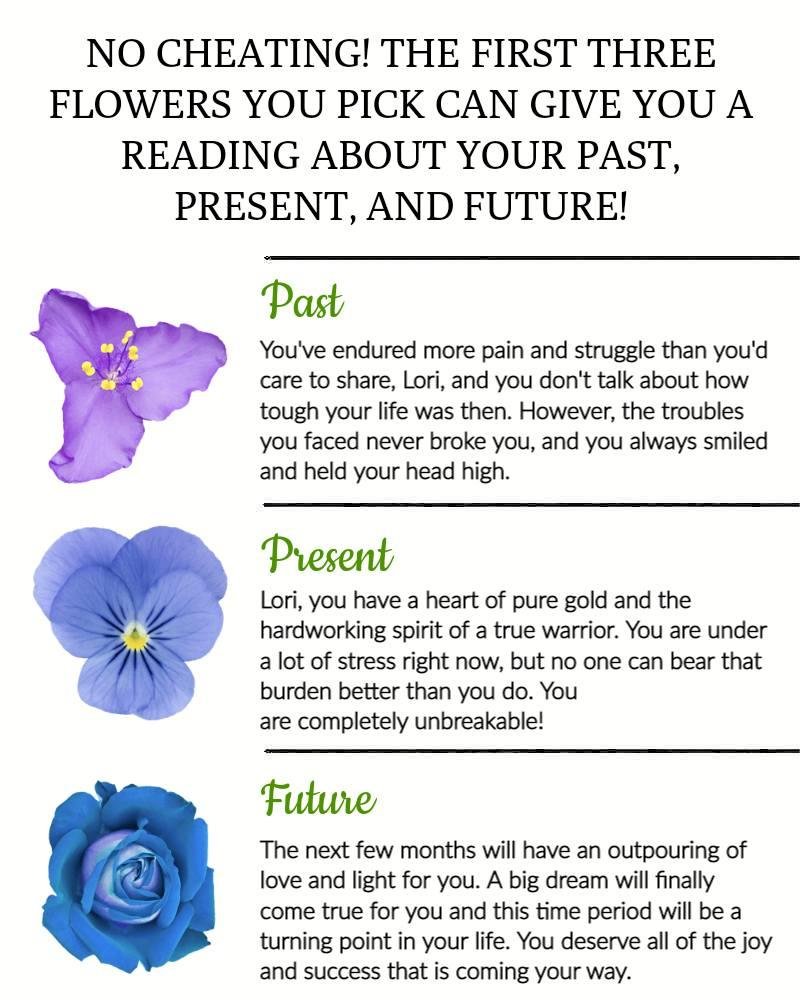 Lori Muldner's album, Timeline photos
