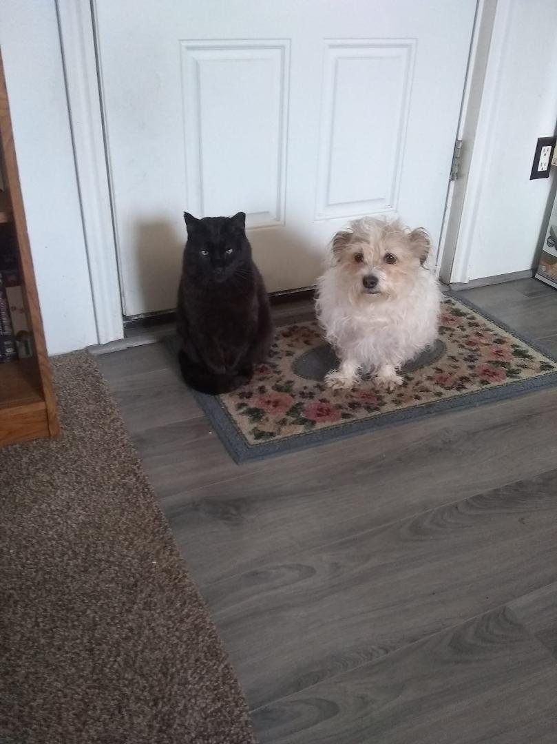Ahh Papa and Dolla waiting to be let out.