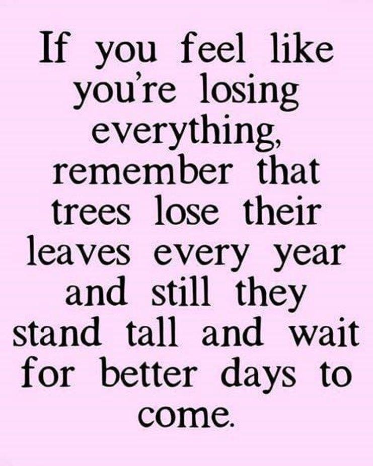 Dan Meitzler's album, Timeline photos