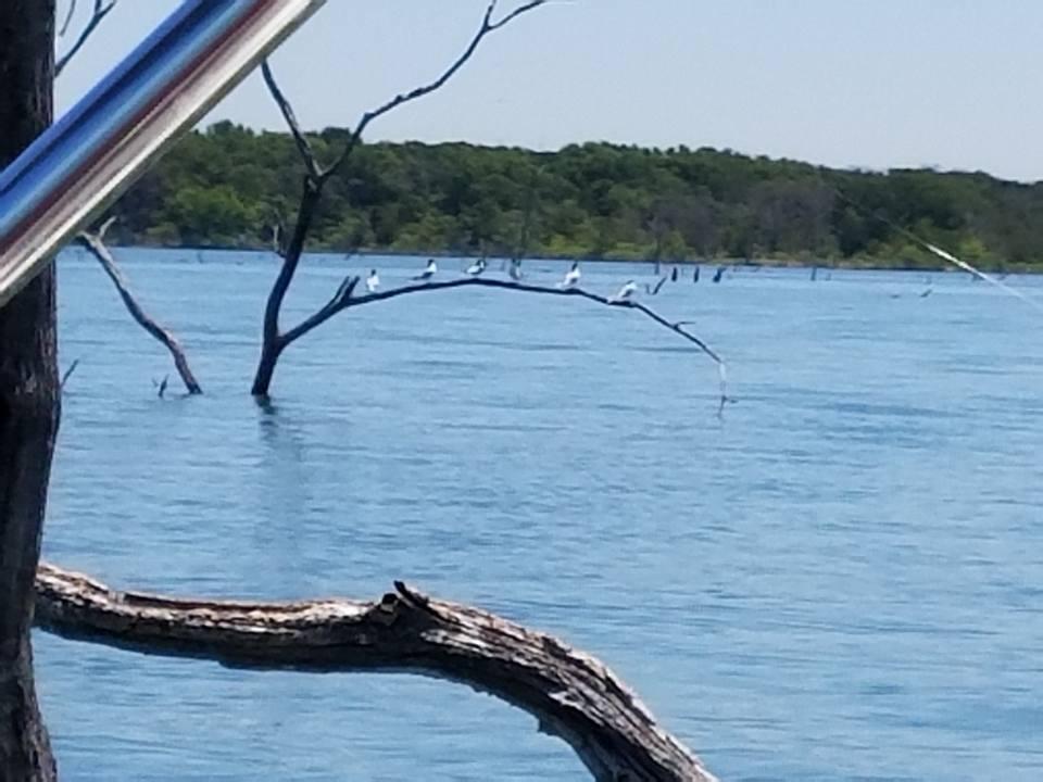Luann Crawford's album, Mobile uploads