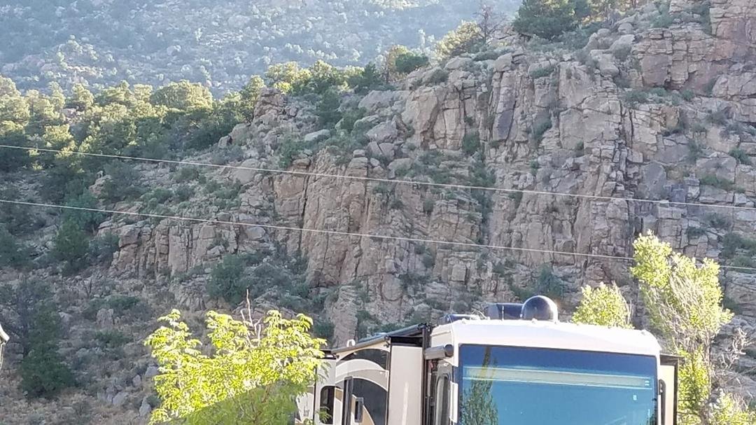 Zoom in... Longhorn Sherp this morning.