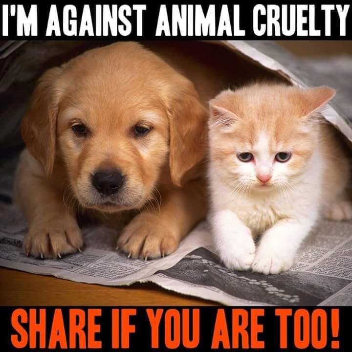 Michael Graham's album, Timeline Photos