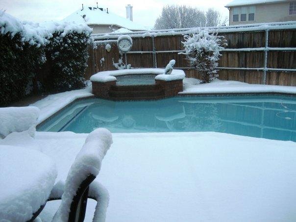 Anyone for a swim?