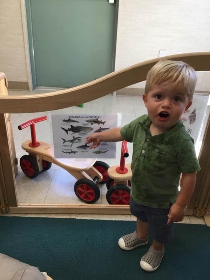 Our grandson giving a lesson on sharks. Doesn’t get any cuter than that.