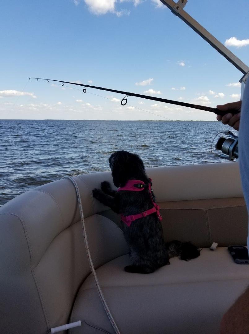 Maggie sure likes going out on the boat fishing