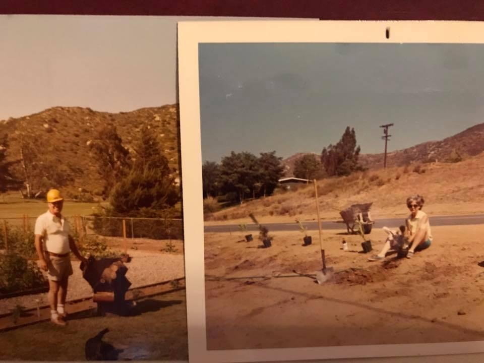 Stacey Dillard's album, Mobile Uploads