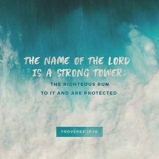Todd Hess' album, Timeline Photos