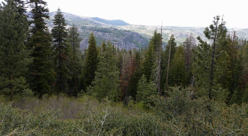 Backcountry