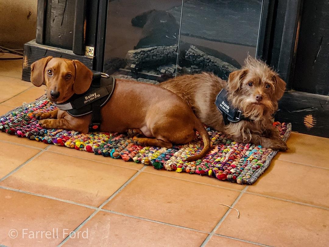 A great afternoon to hang out in the casita.