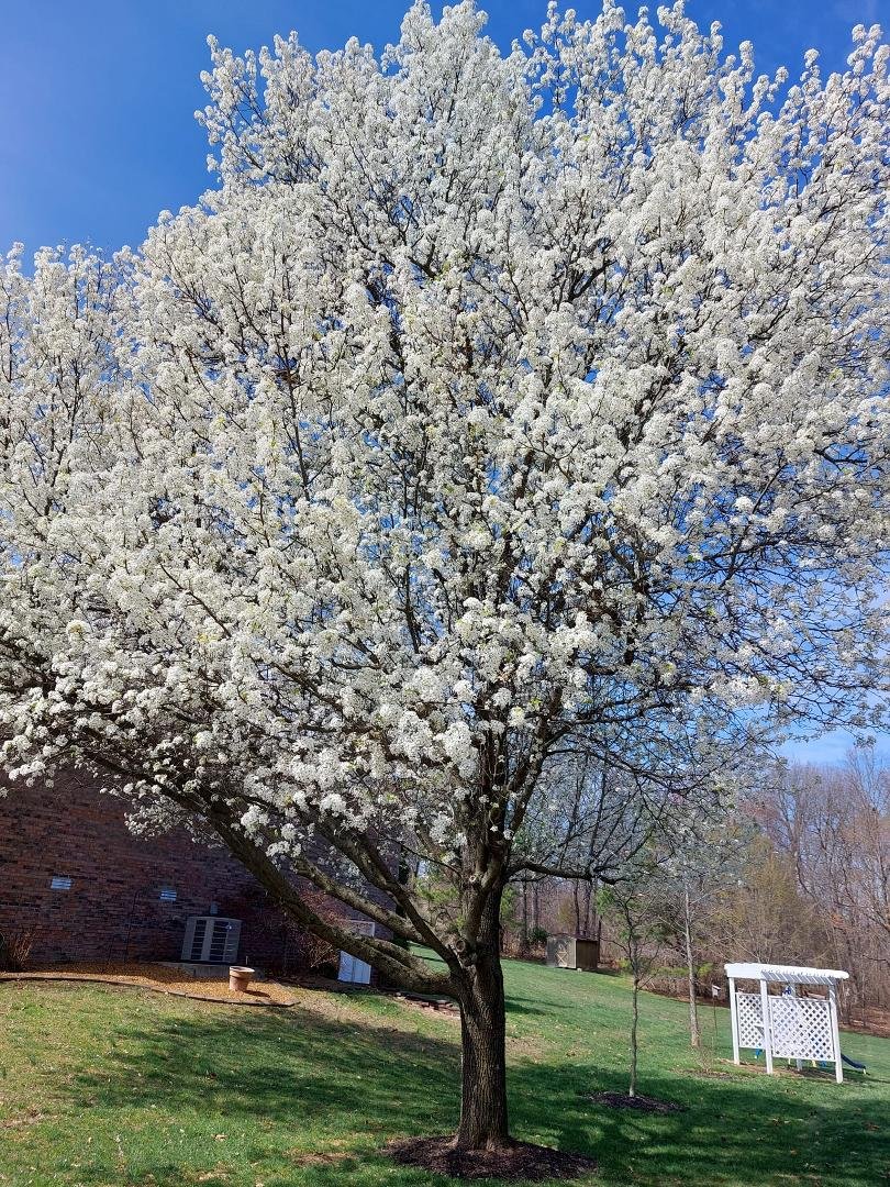 Spring has sprung!!