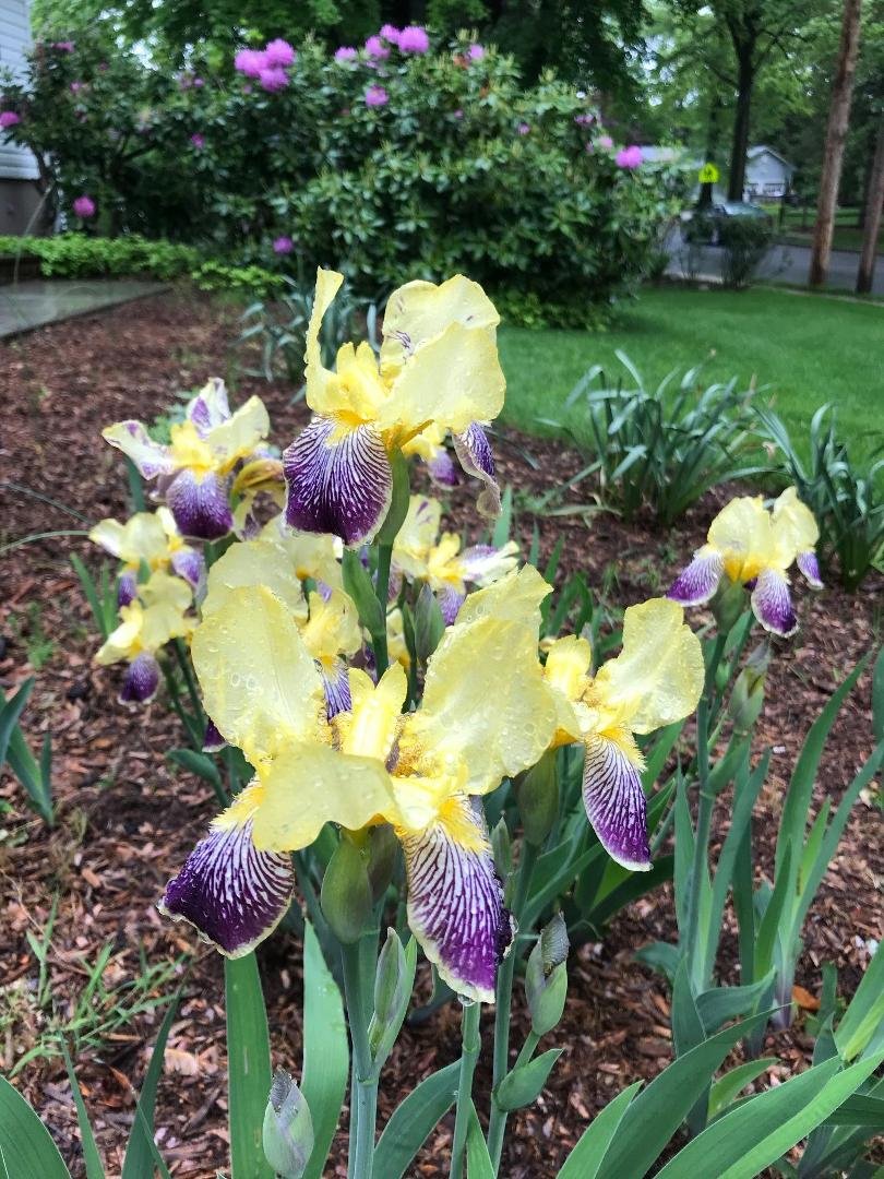 Edward Bailey's album, Timeline Photos