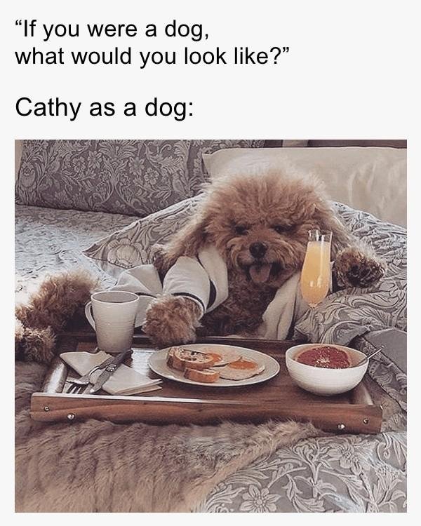 Catherine Doherty's album, Timeline Photos