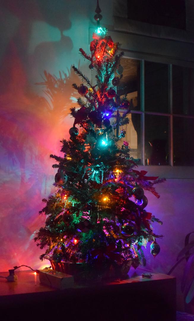 Just pried some photos out of my Nikon... Here's the lovely little tree Lauri and I had this year. Christmas brought back to life for me by Lauri Jean Bradway 🥰