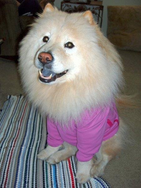 Jim Bibbee's album, My dog Nala