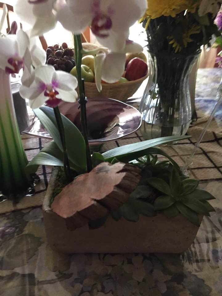 Cheryl Puccio's album, Timeline Photos