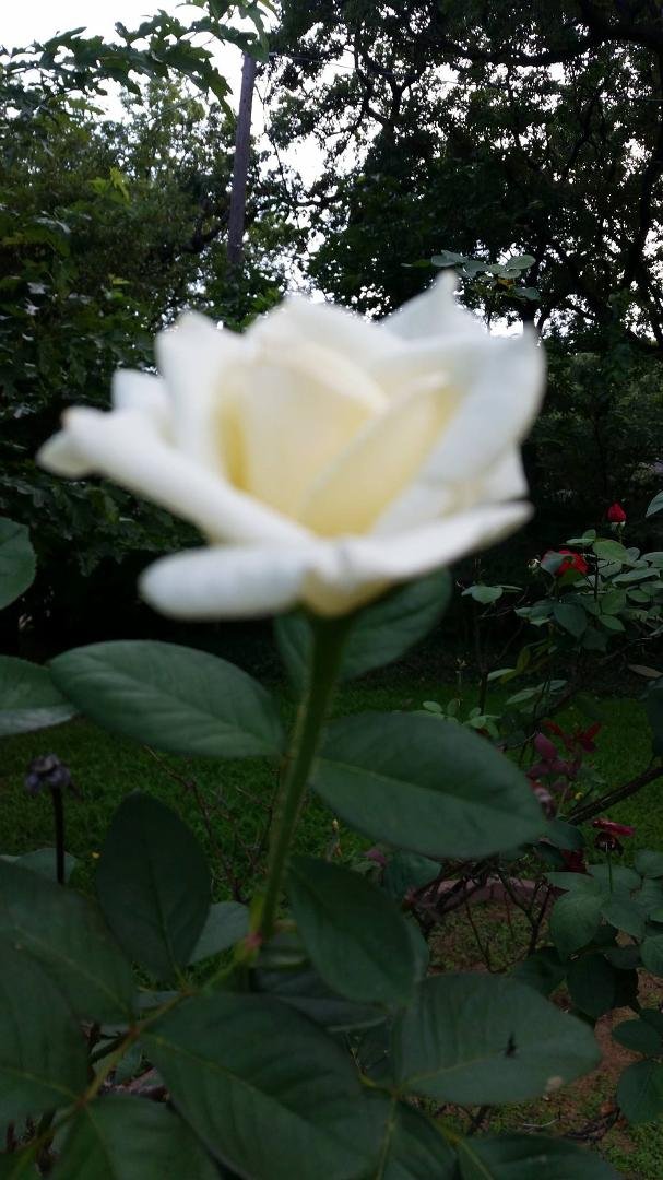 Allison Santoro's album, Timeline Photos