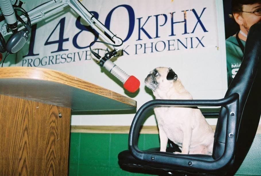 Vote for VINNY THE PUG Once a day, Every day!
http://www.officialsponsor.com/applications/view/8087
GREAT NEWS!!!!!! Vinny the Pug's application for
Sponsorship has been approved. Team Vinny is now able to compete for