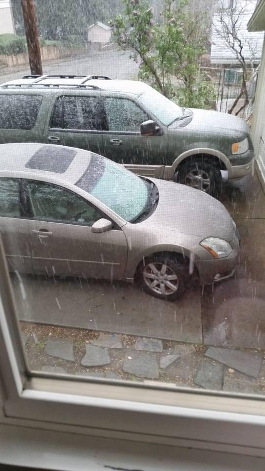 First day of spring vacation and it's snowing!!
