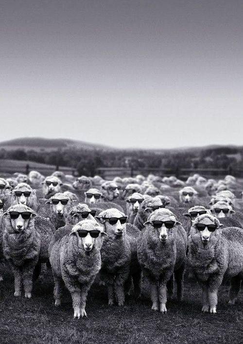 Their future's so bright...