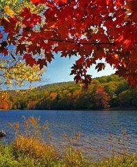 Phyllis Hoffman's album, Timeline Photos