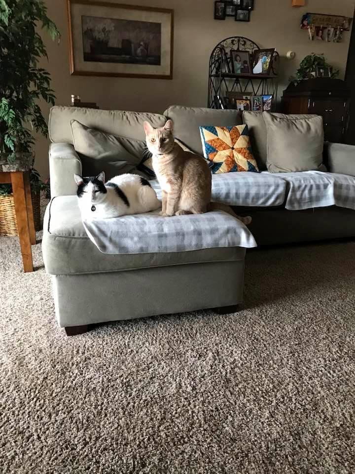 My family what the hell are we supposed to do now?