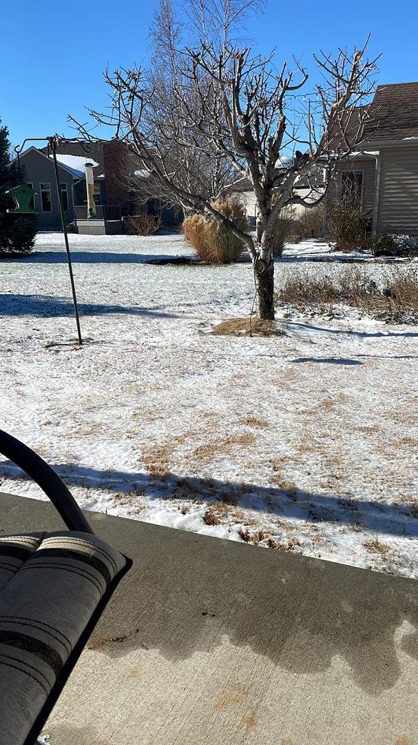 It was just a baby snow, but it counts. I’ve missed this.