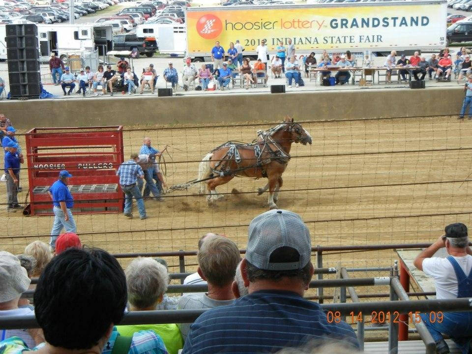Horse Pull