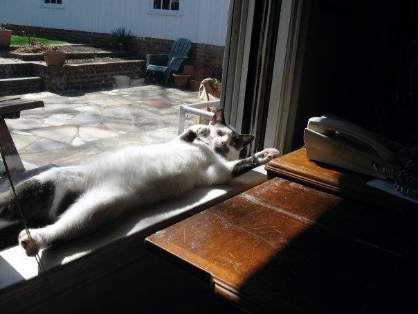 Leo, sacked out again - what else?