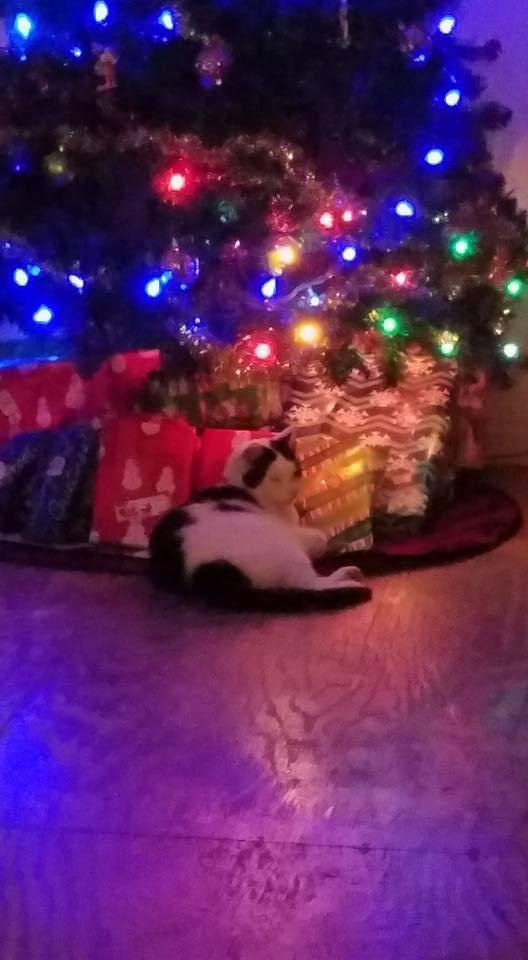 Wishing my Family and Friends a Merry Christmas and Happy New Year !!!