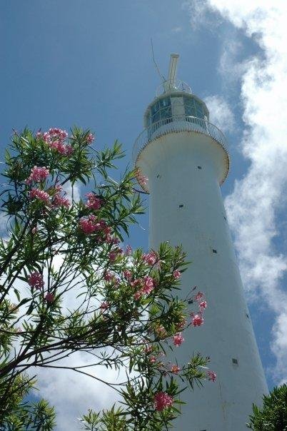 David Wayne's album, Bermuda Cruise