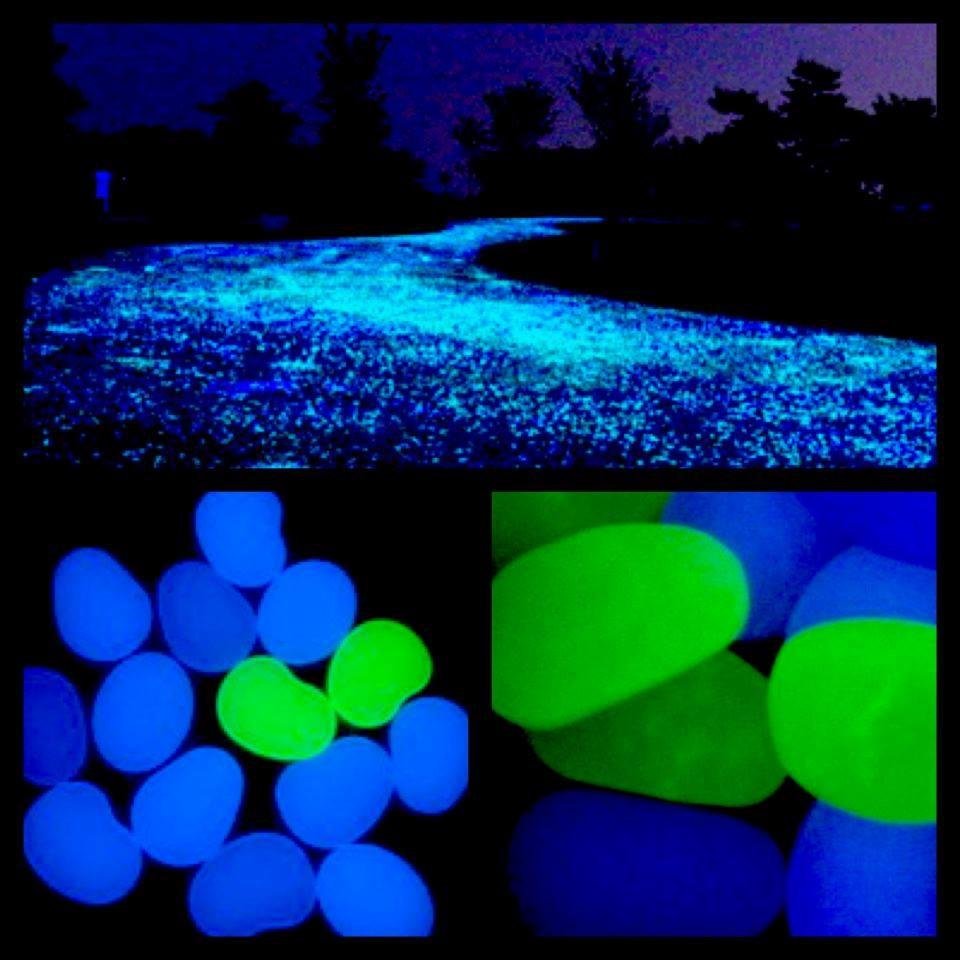 Here's a BRIGHT idea!
Add some pizzazz to your driveway or pool deck ----- glowstone mixed with pavement/gravel!
#homes #diy #projects
