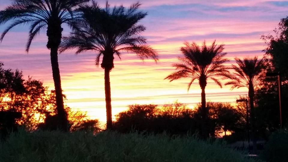 Bob Asadi's album, Mobile Uploads