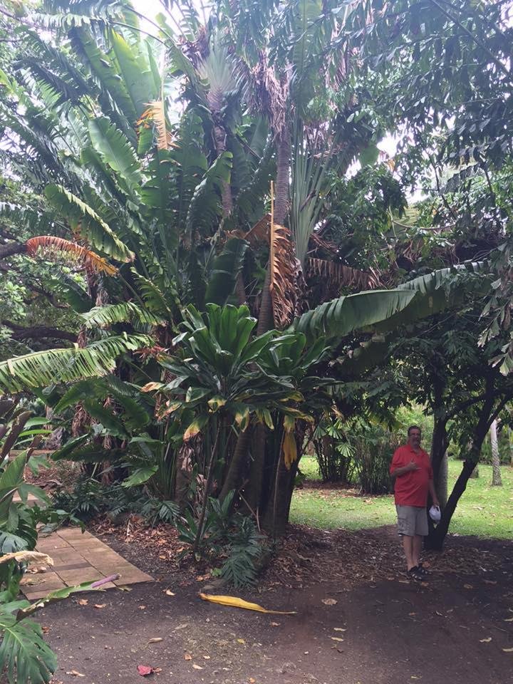 Fosters Botanical Gardens