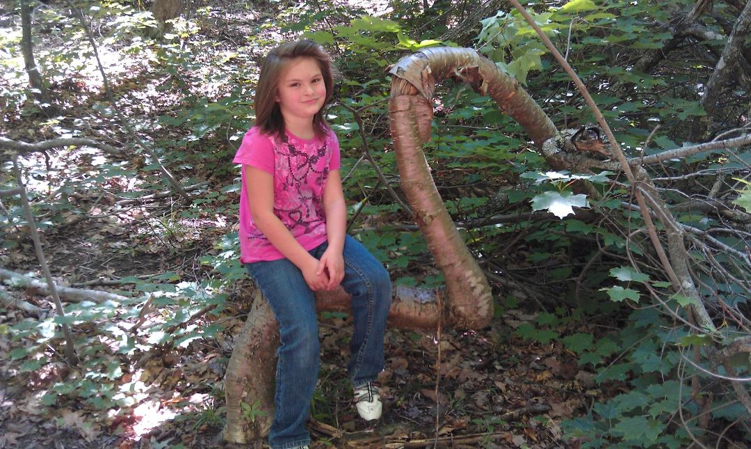Kat tired from our walk in the woods near Lake Medora, found a natural tree chair to rest in.