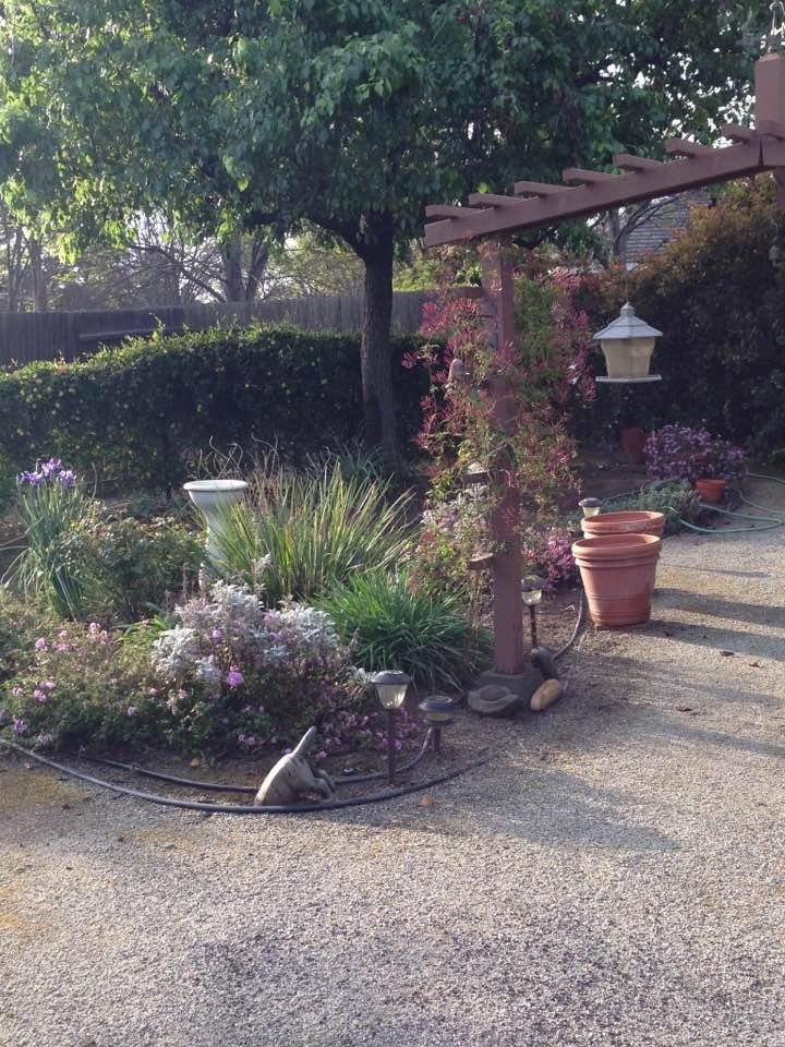 Martha Richardson's album, Timeline Photos