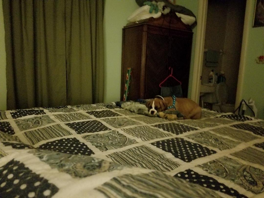 He slept all night with his blanket.