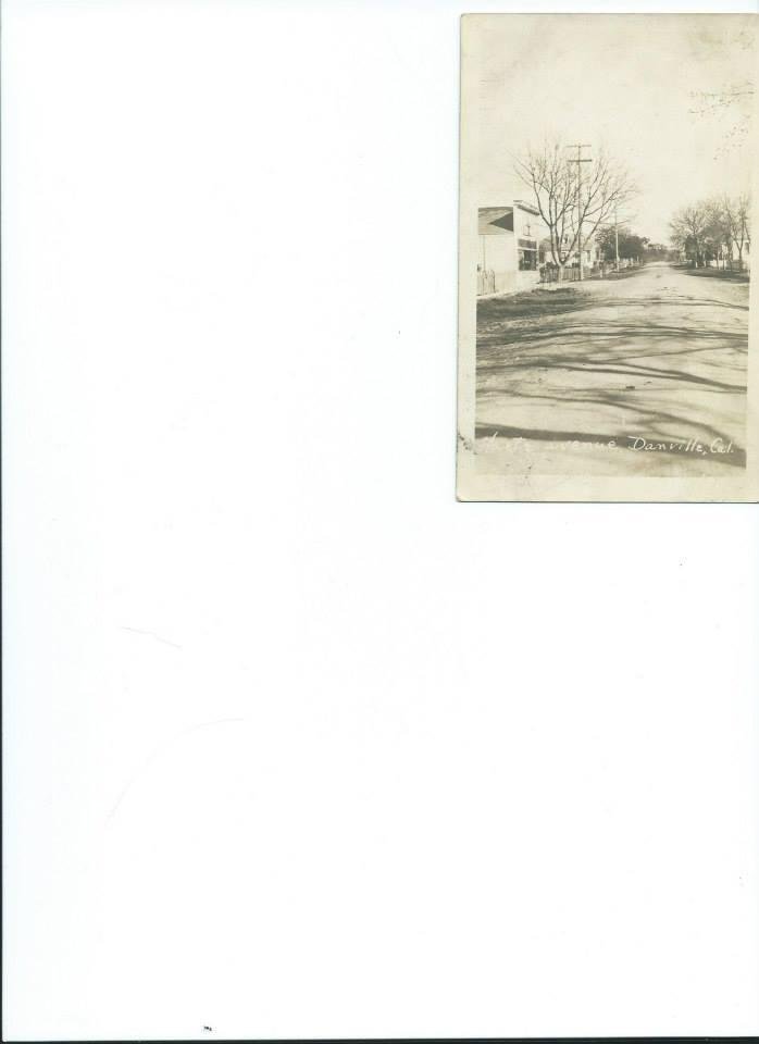 This is Hartz Avenue. The picture is on a postcard sent to my Grandmother, Ina Boone Root, when she and my Grandfather lived in Sacramento, California. The postmark is November 1912. My father, Harold Boone Root would hav