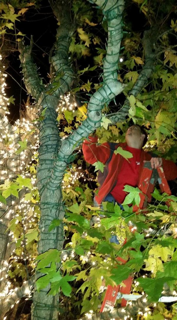 With saw in hand, Justin Brumble gives "trimming a tree" a whole new meaning!